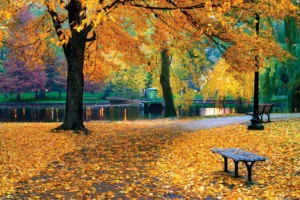 سفر در پاییز؛ چرا باید در سال 2025 یک سفر جادهای متفاوت را تجربه کنید 1 autumn-picture